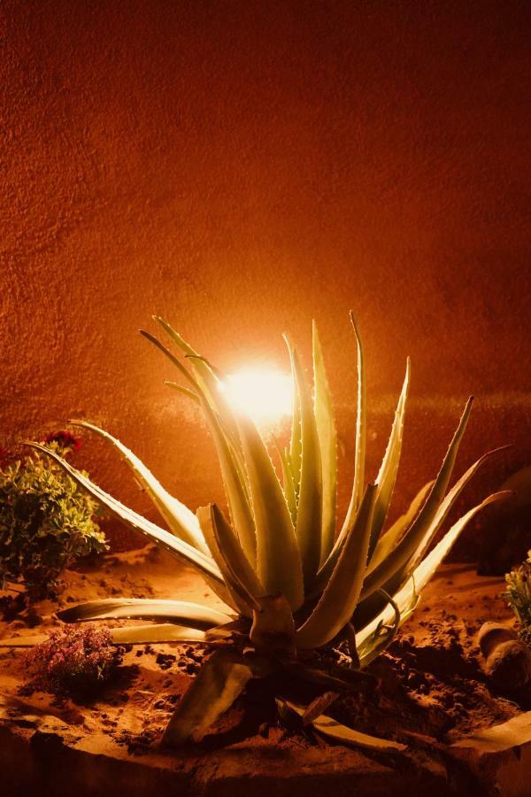 Petra Bedouin Bed And Breakfast Вади Муса Экстерьер фото